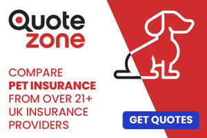 Quotezone: compare pet insurance from over 21 UK insurance providers
